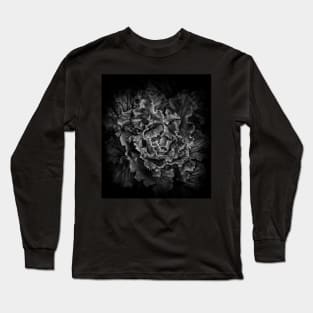 Backyard Flowers In Black And White 43 Long Sleeve T-Shirt